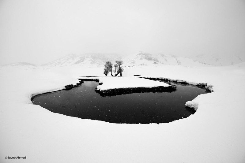 Publication of works generated by neural networks is prohibited. In the case of the publication of such works, the account may be blocked.photo preview