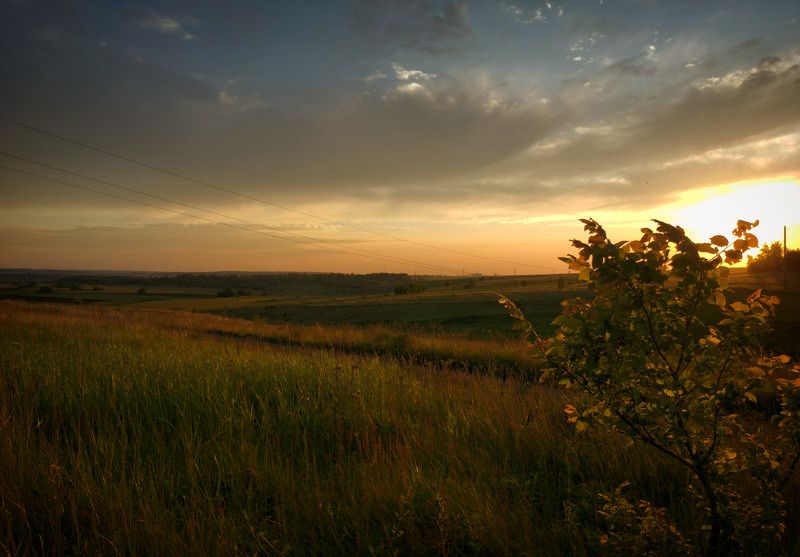 вечер, закат, деревня, пейзаж, лето, луг, цветы Краски летнего вечера.photo preview