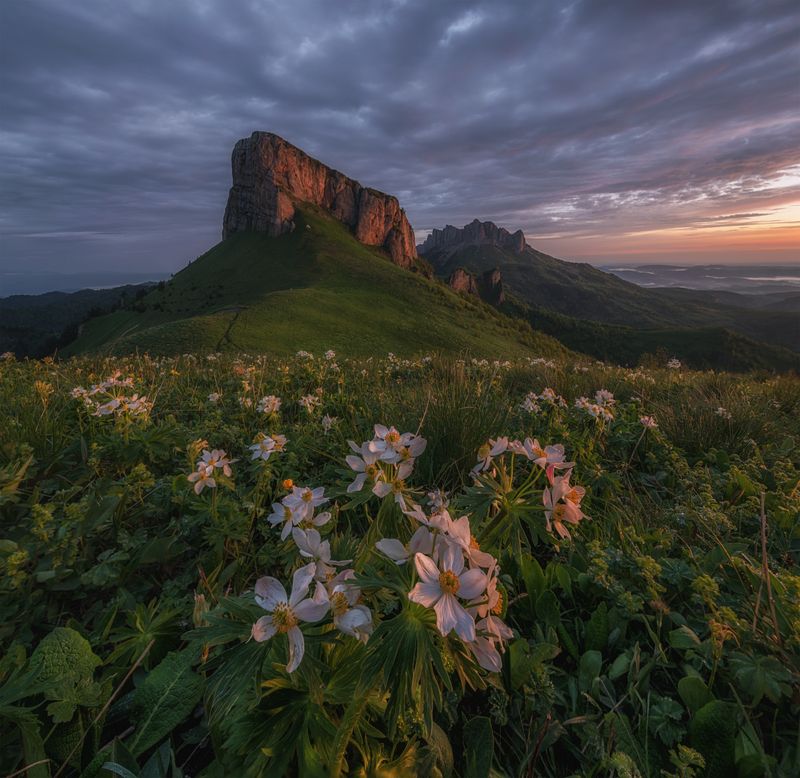 западный кавказ, природный парк большой тхач Когда в горах цветут цветыphoto preview