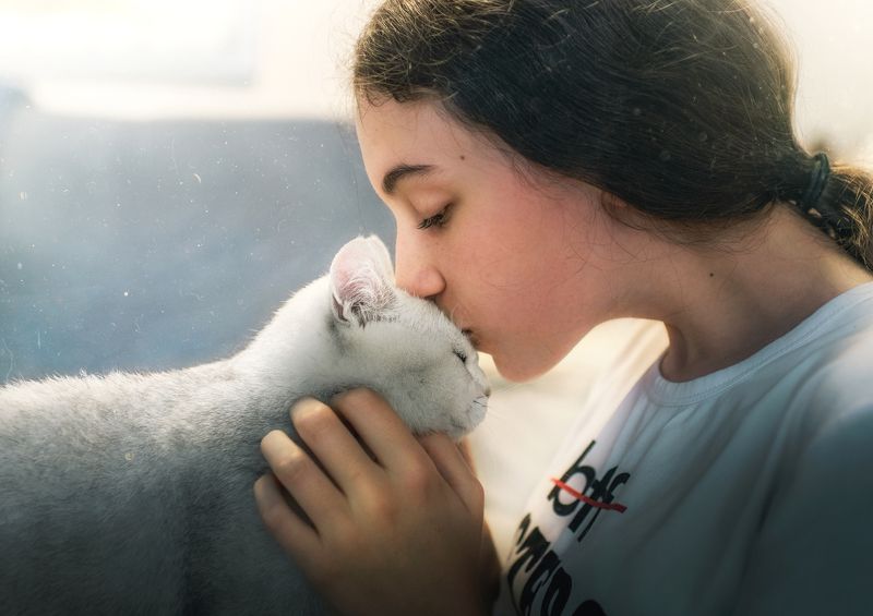 人像 宠物 猫 人宠 kissphoto preview