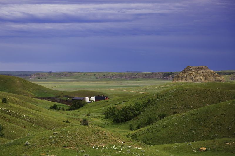 In the wild west... фото превью