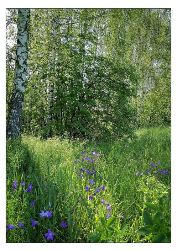 Кладовая солнцаphoto preview