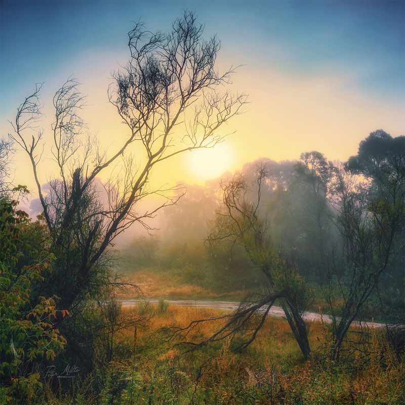 Осенняя фантазияphoto preview