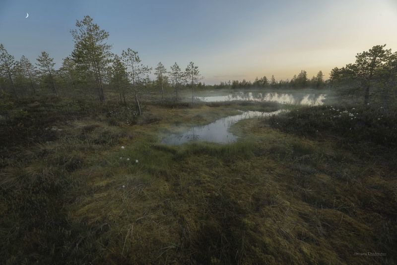 Рассвет на болотеphoto preview