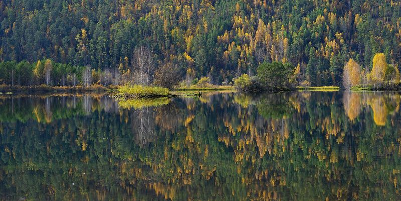 отражение, Ангара, Братск, баклан Гладьphoto preview