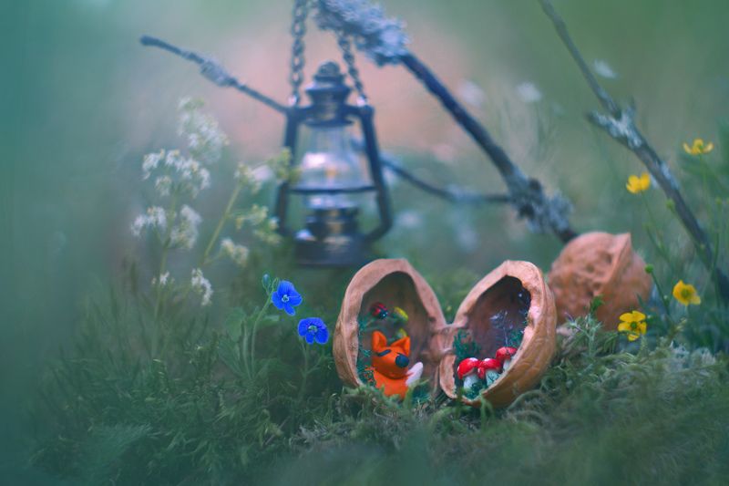 Утро начинается...photo preview