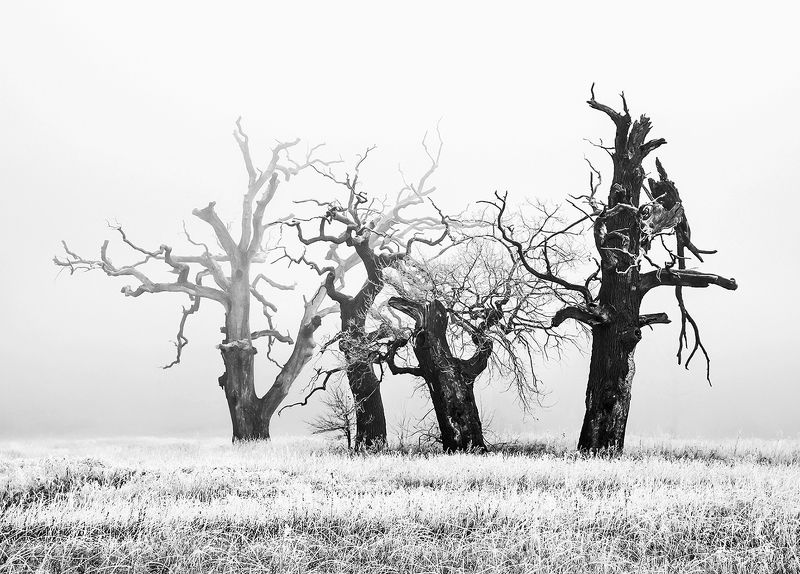 Razem przez wiekiphoto preview