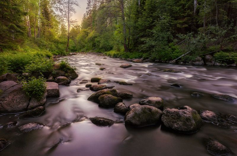 река течение закат вечер лес деревья камни Лесное дивоphoto preview
