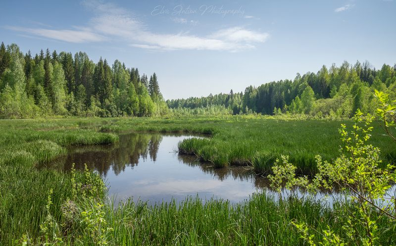 кологрив, костромскаяобласть, пейзаж, природа Майский пейзаж фото превью