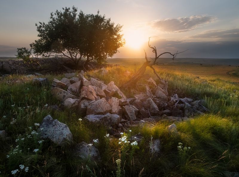 #ProStoneGravesphoto preview