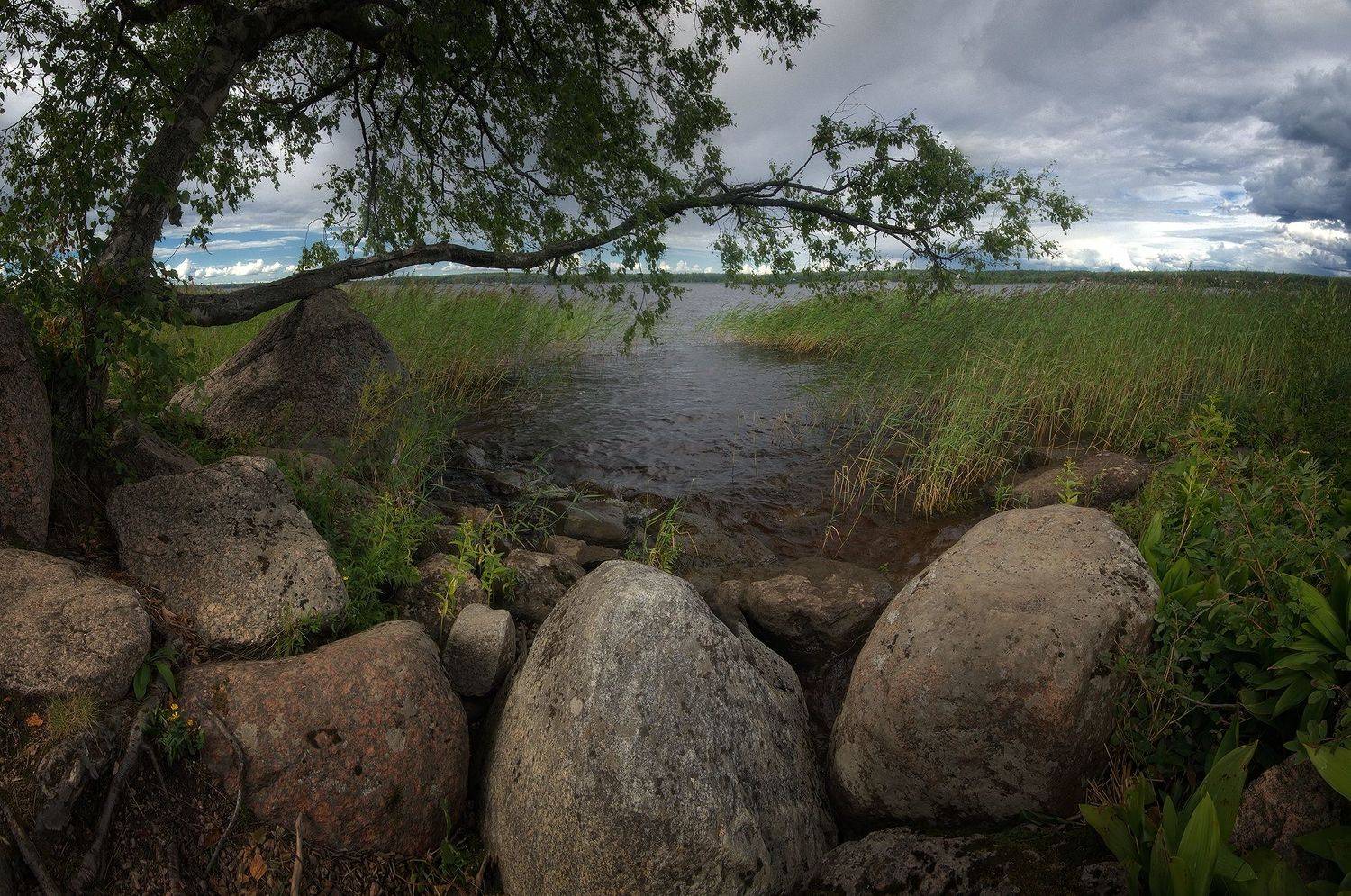 , Алексей Никонов