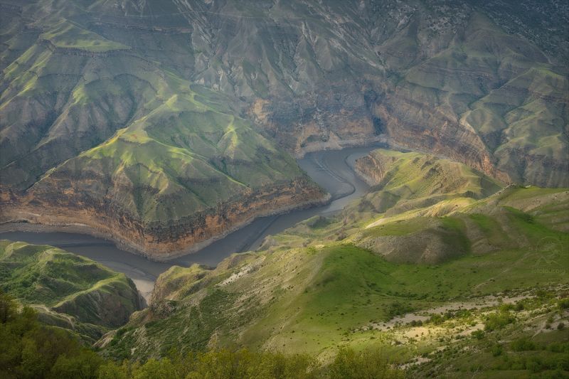дагестан, горный дагестан, кавказ, фототур в дагестан,  деревья, река, горы, свет, весна Сулакphoto preview