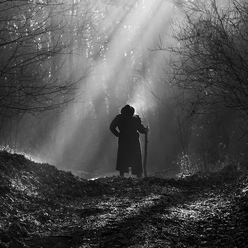 W światła cieniuphoto preview