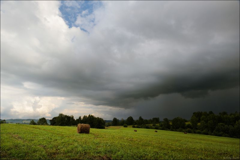 грлза, дождь, ненастье, лето, поле Перед грозойphoto preview