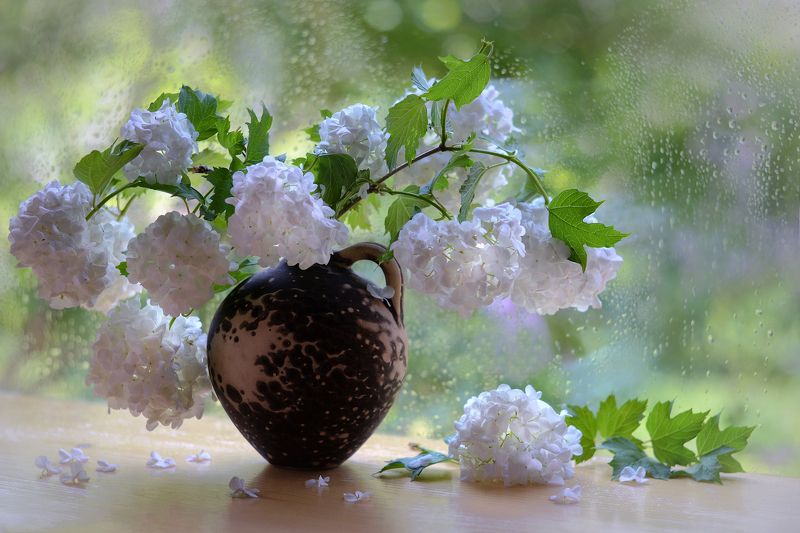 Снег в июнеphoto preview