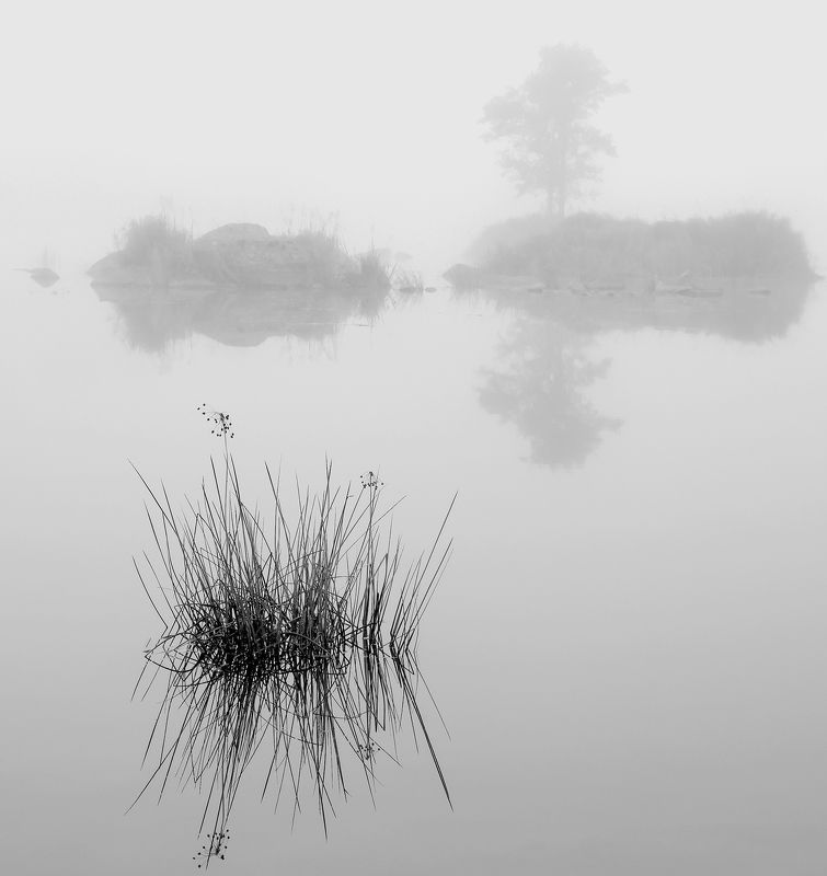 туман,ч.б,отражение Ёжикphoto preview