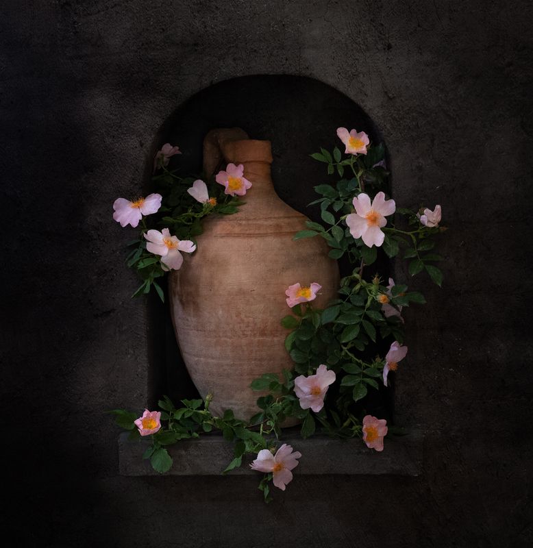 натюрморт, цветы, шиповник Ветка шиповника в нишеphoto preview