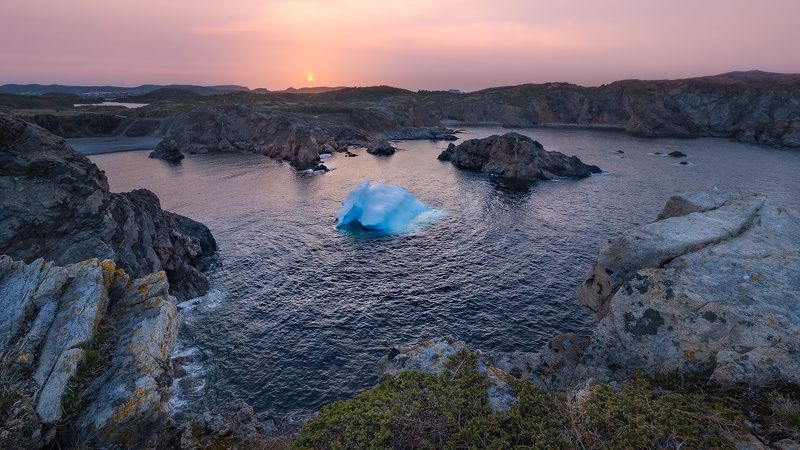 Пришелецphoto preview