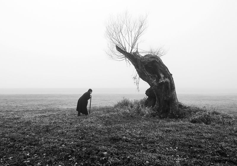 Weteraniphoto preview