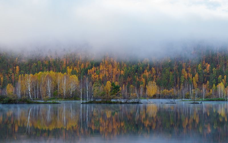 отражение, Ангара, Братск, осень, краски, тайга Осень на Ангареphoto preview