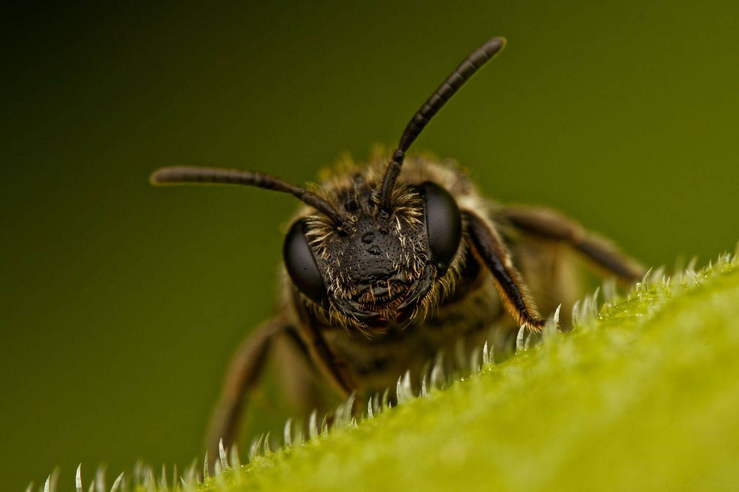 Автор: Jozef Mihalčin , Jozef Mihalčin