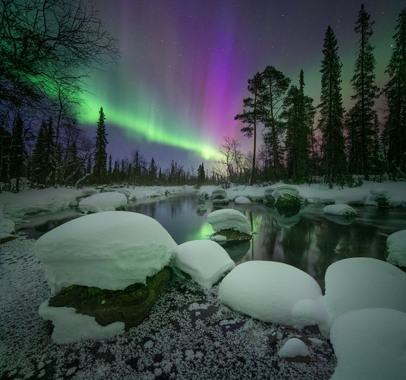 Волшебный лес.photo preview