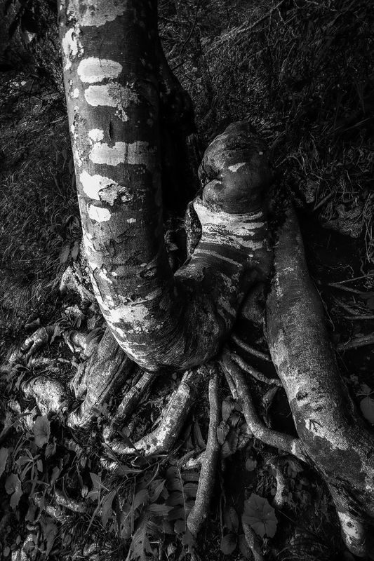 2023 фото превью