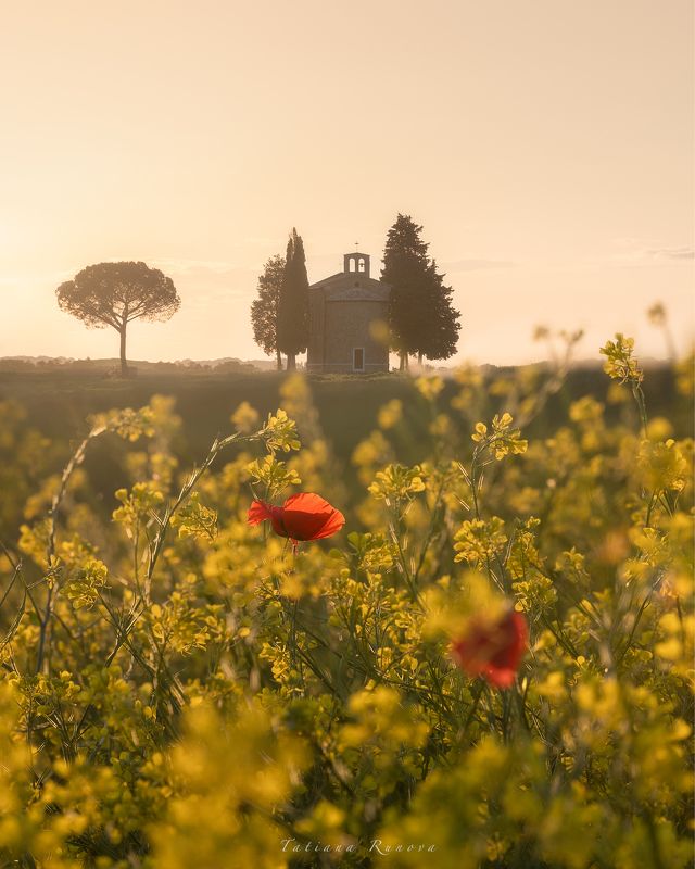 Часовня Виталета на закате. Тосканаphoto preview