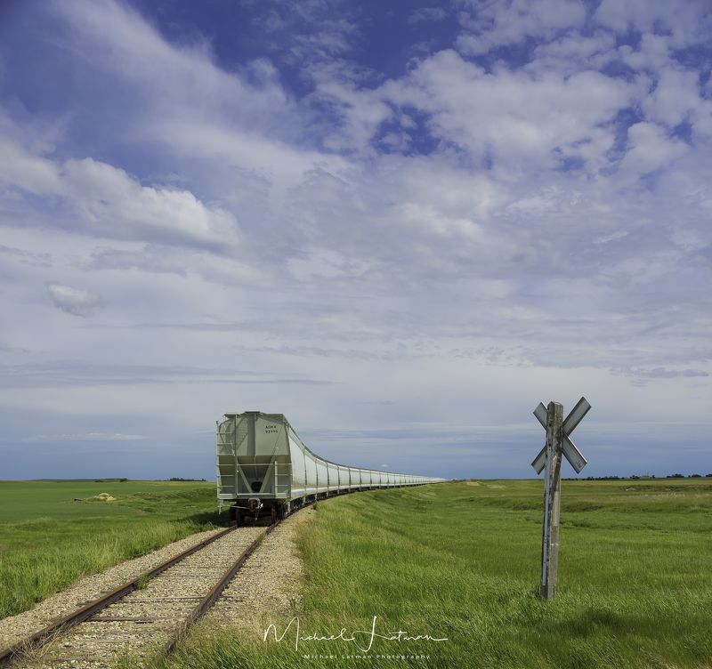 Train to the East фото превью