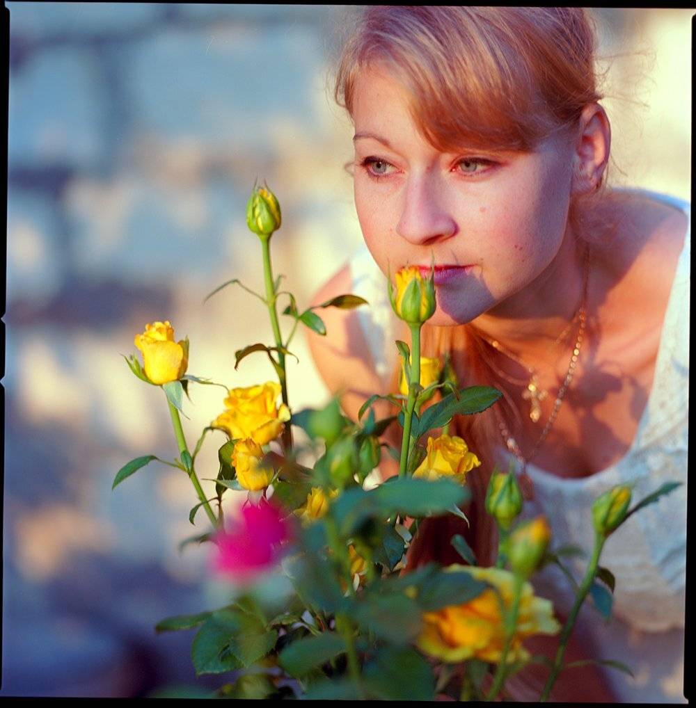 Автор: Франгони Владимир , Франгони Владимир