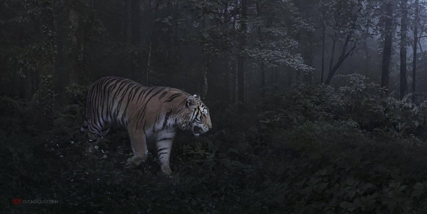 Автор: duong quoc dinh , duong quoc dinh