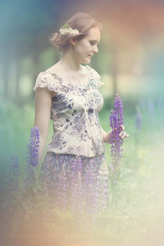 люпин цвететphoto preview