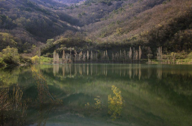 Февральphoto preview