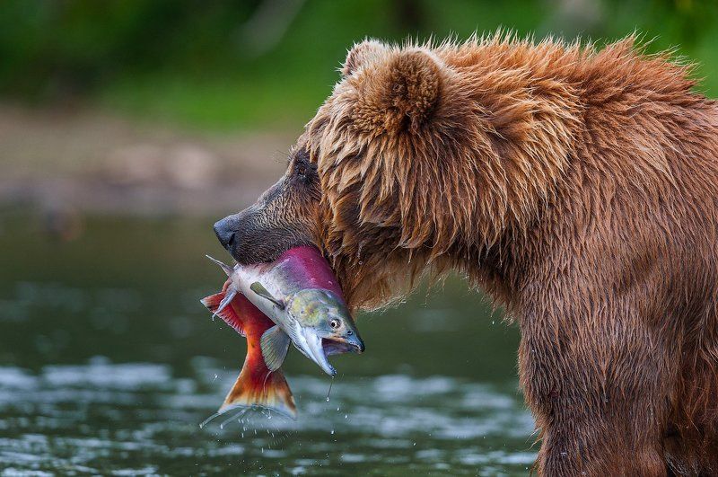 Последний вдох - безмолвный крикphoto preview