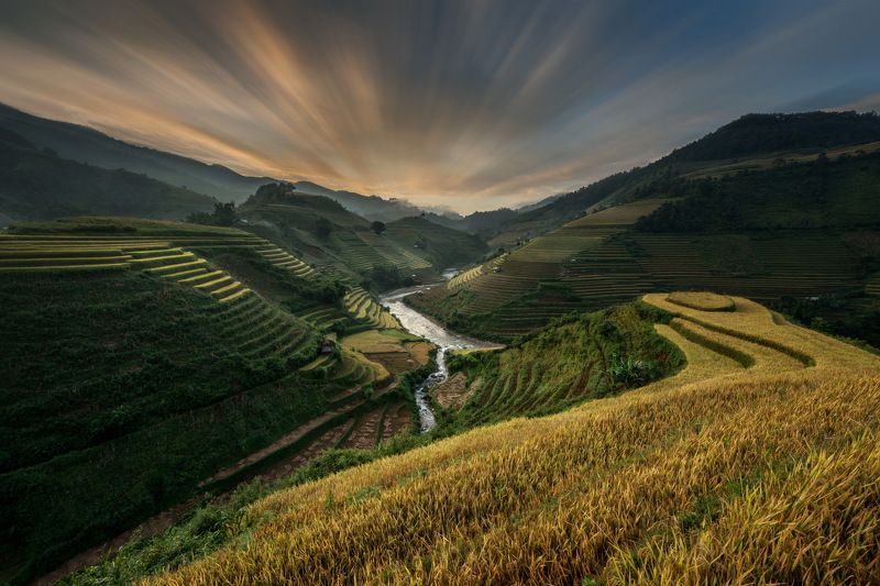 Beauty In Nature, Color Image, Crop, Field ,Gold, Colored ,Horizontal, Landscape, Mountain ,Mountain Range, No People, North Vietnam, Outdoors, Photography, Rice Paddy, Rural, Scen,e Terraced, Field, Tranquil Scene, Travel Destinations, Tree, Vietnam, Vie Rice terrace (Mu cang chai , vietnam)photo preview