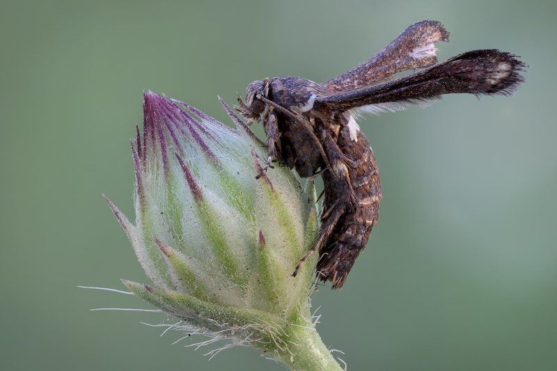 /+/+/+/photo preview