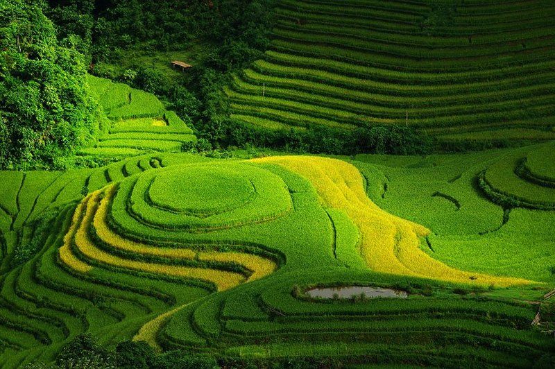 Dang Tuan Trung, Frank Dang Octoberphoto preview