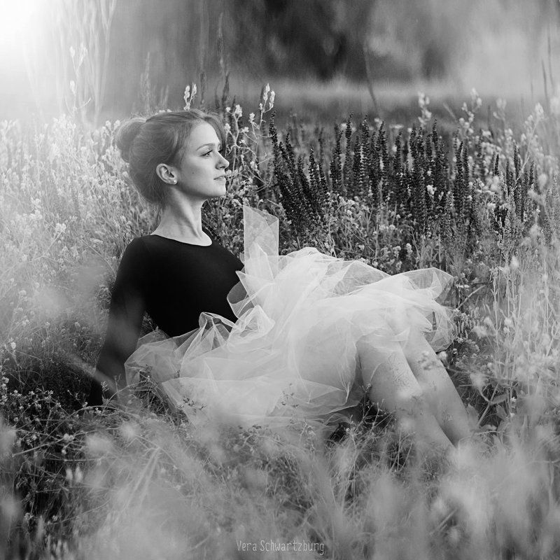 балерина, поле, цветы, девушка, лето Душа цветущего поляphoto preview