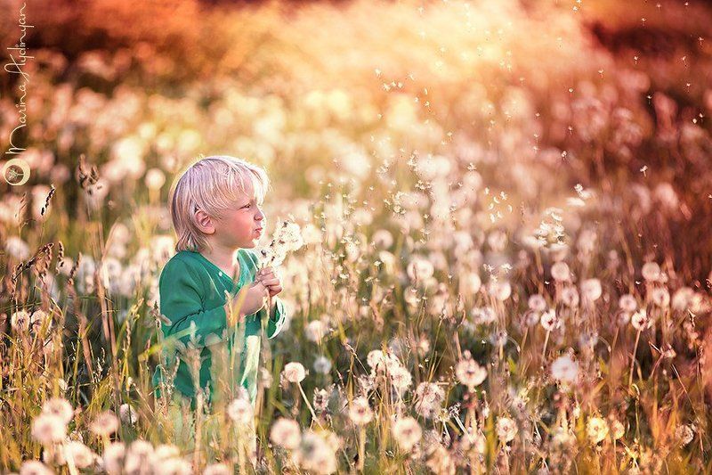 Дети, Детский портрет, Детство, Лето, Одуванчики Одуванчиковое счастьеphoto preview