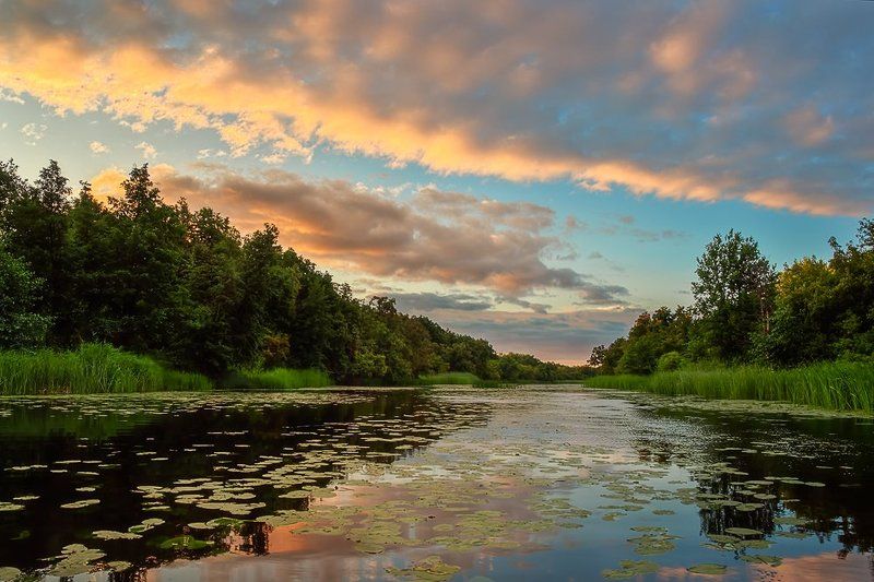 У реки.photo preview
