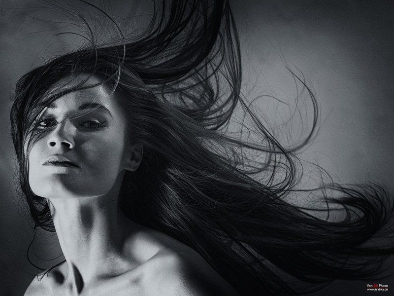 Rebel Yellphoto preview