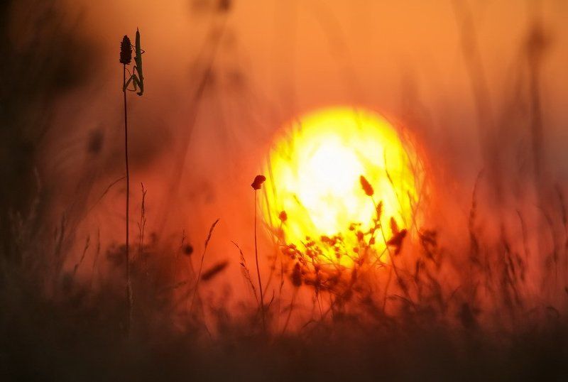 Утро вечера мудренее...photo preview