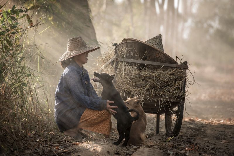 Love Friendphoto preview