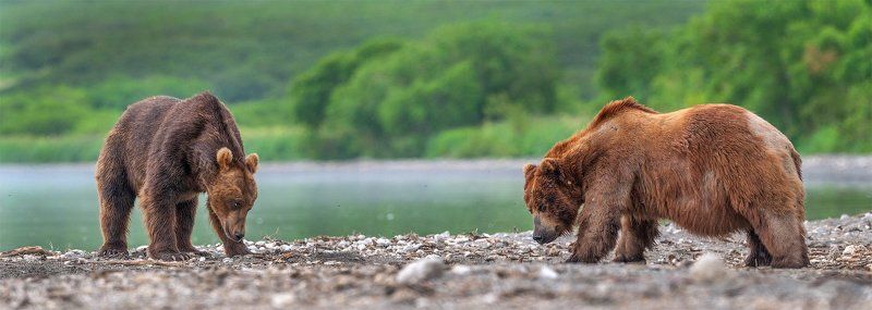 Противостояниеphoto preview