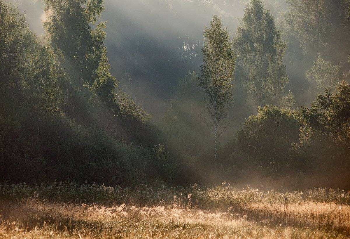 ***. Автор: Владимир Перепечаев , Владимир Перепечаев