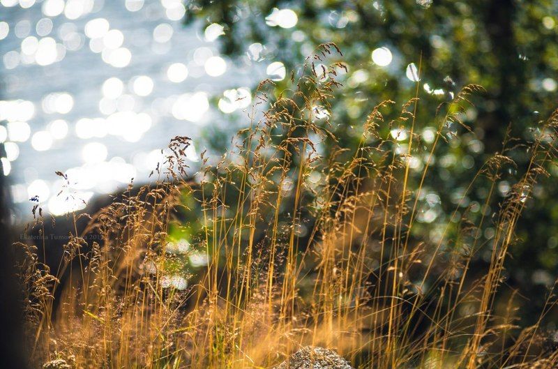 окрестности Ласанен, Карелияphoto preview