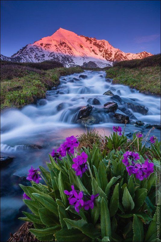 Altai, Алтай ~ Ак-Оюк ~photo preview