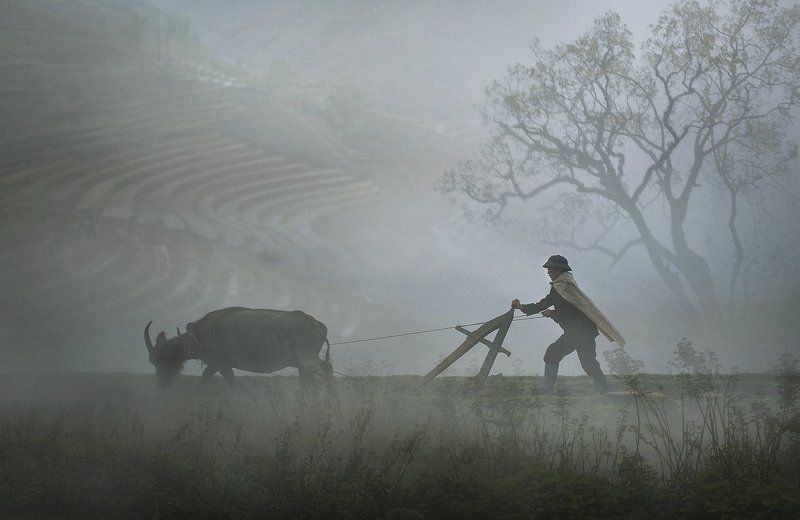 Vào Mùaphoto preview