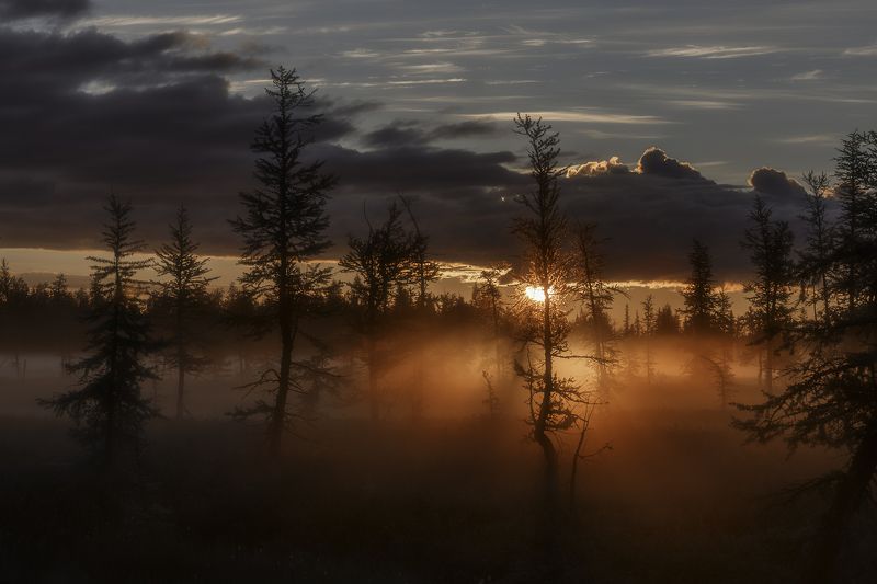 новыйуренгой, уренгой, ямал,  янао, камиль, камильнуреев, россия, рассвет, тундра, лесотундра, туман Рассветный часphoto preview