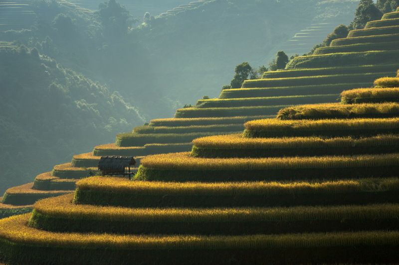 Beauty In Nature, Color Image, Field, Green Color, Horizontal, Land, Layered, Mountain, Nature, No People, Outdoors, Photography, Rice Paddy, Rural Scene, Sunlight, Terraced Field, Tranquil Scene, Vietnam Two layerphoto preview